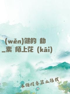 穩(wěn)健的輔助