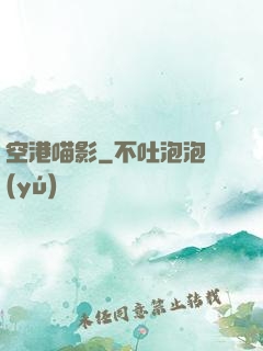 空港喵影