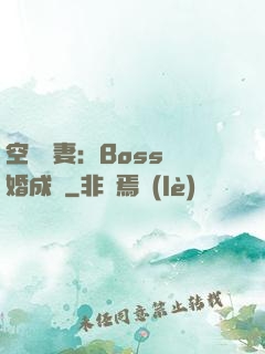 空間嬌妻：Boss寵婚成癮