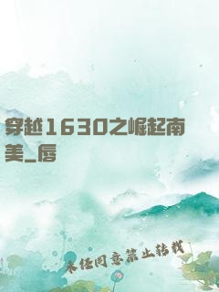 穿越1630之崛起南美
