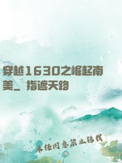 穿越1630之崛起南美