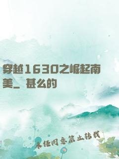 穿越1630之崛起南美