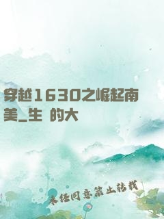 穿越1630之崛起南美