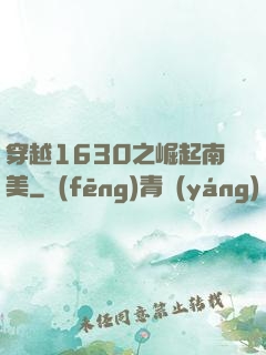 穿越1630之崛起南美