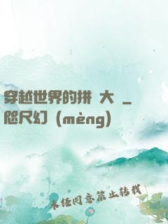 穿越世界的拼裝大師