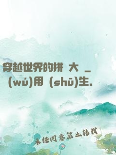 穿越世界的拼裝大師