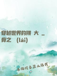 穿越世界的拼裝大師
