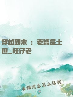 穿越到未來：老婆是土匪