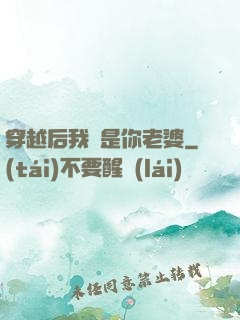 穿越后我還是你老婆