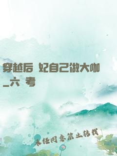 穿越后貴妃自己做大咖