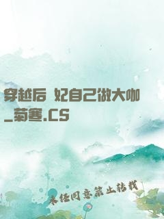 穿越后貴妃自己做大咖