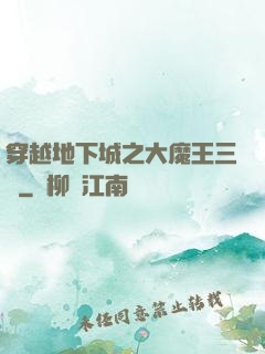 穿越地下城之大魔王三號