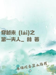穿越未來(lái)之第一夫人