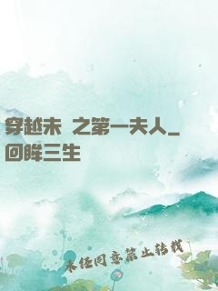 穿越未來之第一夫人