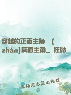 穿越的正面主角對戰(zhàn)反面主角