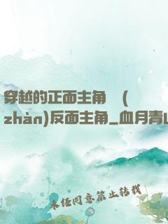 穿越的正面主角對戰(zhàn)反面主角