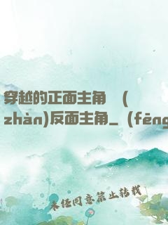 穿越的正面主角對戰(zhàn)反面主角