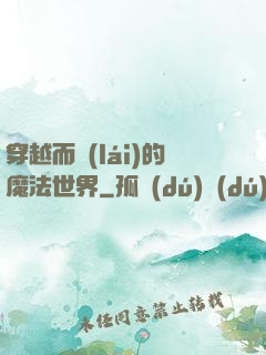 穿越而來(lái)的魔法世界