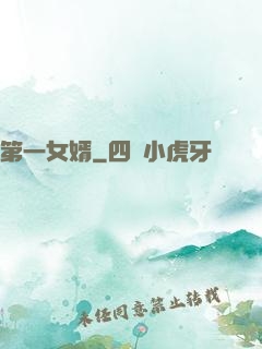 第一女婿