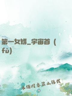 第一女婿