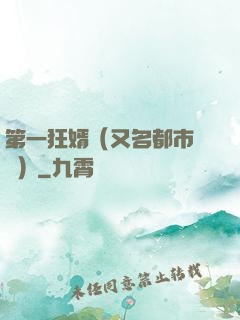 第一狂婿（又名都市潛龍）