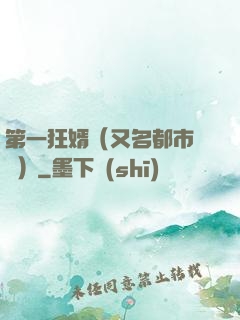 第一狂婿（又名都市潛龍）