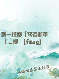 第一狂婿（又名都市潛龍）