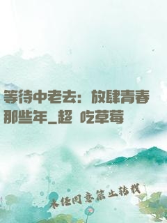 等待中老去：放肆青春那些年