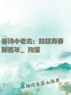 等待中老去：放肆青春那些年