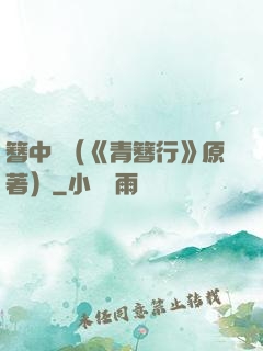 簪中錄（《青簪行》原著）