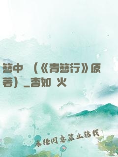 簪中錄（《青簪行》原著）