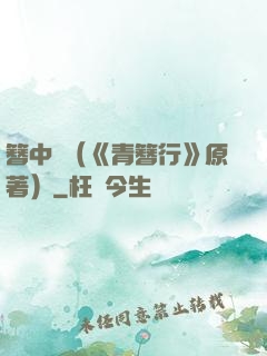 簪中錄（《青簪行》原著）