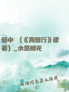 簪中錄（《青簪行》原著）
