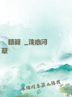 籃壇精算師