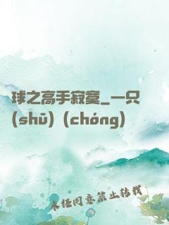 籃球之高手寂寞