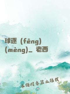 籃球逐風(fēng)夢(mèng)