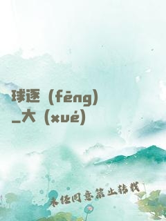 籃球逐風(fēng)夢
