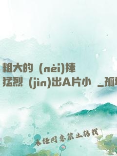 粗大的內(nèi)捧猛烈進(jìn)出A片小說