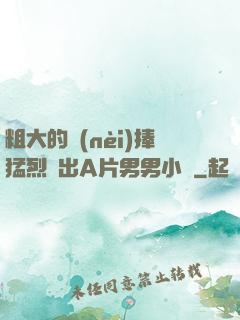 粗大的內(nèi)捧猛烈進出A片男男小說