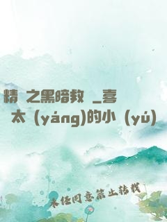 精靈之黑暗救贖