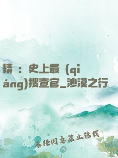 精靈：史上最強(qiáng)搜查官