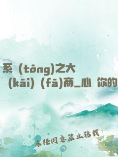 系統(tǒng)之大開(kāi)發(fā)商