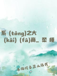系統(tǒng)之大開(kāi)發(fā)商