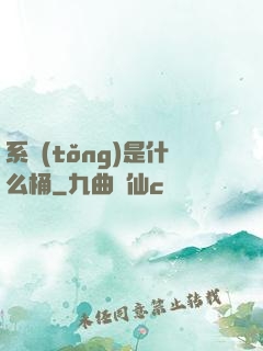 系統(tǒng)是什么桶