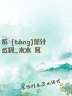 系統(tǒng)是什么桶