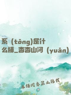系統(tǒng)是什么桶