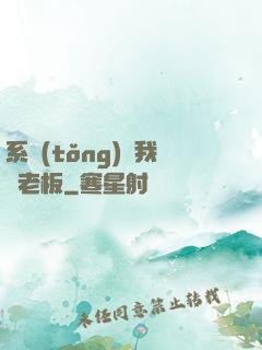 系統(tǒng)請我當老板