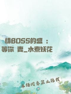 純情BOSS的盛愛：等你為妻