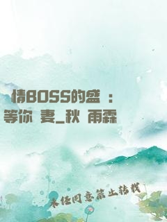 純情BOSS的盛愛：等你為妻