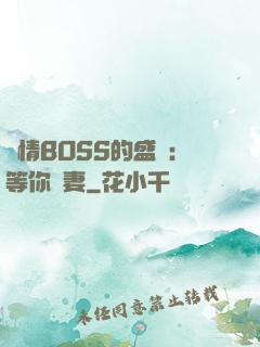 純情BOSS的盛愛：等你為妻